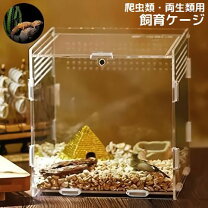 楽天市場】アクリルケース 収納（ペット・ペットグッズ）の通販