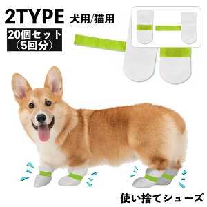  ybgV[Y ybgC ĝ 20Zbg 5 p Lp ybgpi hbO Lbv }WbN e[v h~ ی ho _炩 U o ybgObY