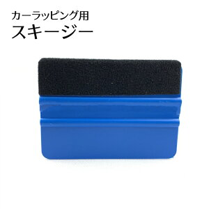 �������� �X�L�[�W�[ �w�� �J�[���b�s���O �ԗp�i �t�F���g�t�� �P�i �V���v�� �� �ȒP �G�A�[���� �\��t�� �{�H���� ��C���� DIY ���Ȃ� �J�[�p�i �J�[�{���V�[�g �t�B���� �X�e�b�J�[