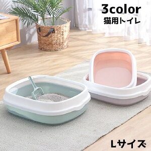  LpgC LbggC { XNGA LTCY ybgpi L lR [ Vv 傫 ֗ ybg G`Pbg