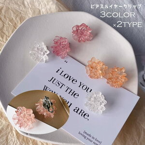  sAX X^bhsAX CO C[Nbv fB[X  ANZT[  C[Jt mz[sAX t[  NAJ[  XPg 킢 L