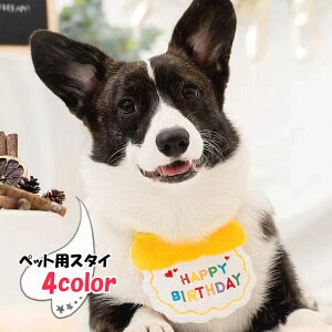  ybgp悾ꂩ ybgpX^C ybgpru p悾ꂩ pX^C ^ ^ L lR Ck ybgpANZT[ aObY o[Xf?ObY hJ { p