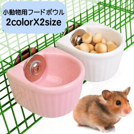 送料無料 フードボウル ケージ用 小動物用 ハムスター用 ペット用品 トリーツ入れ ペレット入れ エサ入れ 陶器 ケージ 取り付け ジャンガリアン ゴールデン ロボフスキー チンチラ モルモット 便利 清潔 ペットグッズ ウォーターボウル 水飲み 水入れ ホワイト 白 ピンク 小