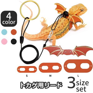  gJQp[h  ঒ ybgpi [v hS  ߉\ U o 킢 