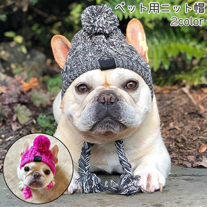 楽天市場】送料無料 ペット帽子 ニット帽 ニットキャップ 犬 猫 ペット 