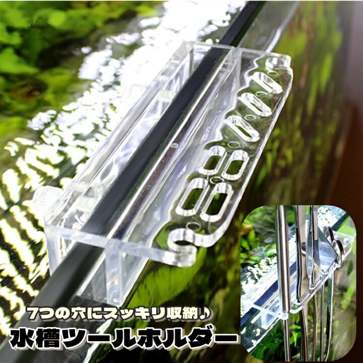 楽天市場】送料無料 水槽ツールホルダー ペット用品 アクアリウム 