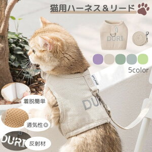  Lp n[lX [h 2_Zbg LbgEFA ybgp ybgpi k i` Vv  ybgObY Lpi }WbN e[v EȒP ʋC ݂ɂ U