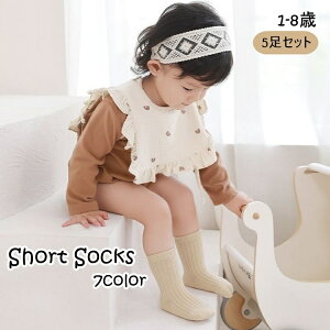  V[g\bNX 5Zbg Ԃ\bNX xr[ LbY q Ԃ c C  u n PF Vv 킢  Lk