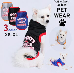  ybgEFA hbNEFA p[J[  L Ck lR ^ Ȃ N  t[fB[ H t ~ h h~ t[ht [hz[ m[X[u ^ S 