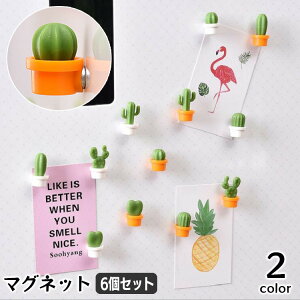  }Olbg  6Zbg ڂĂ T{e  킢  zCg{[h ①  A   CeA [ Xe[Vi[ piG