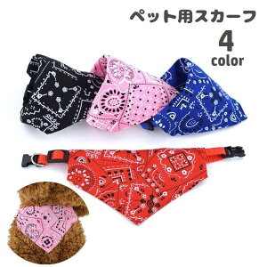  ybgpXJ[t o_i p Lp  X^C 悾ꂩ ^b`obN Op ߉\ DJt ybgpi ߂  U o| Ckp lRp