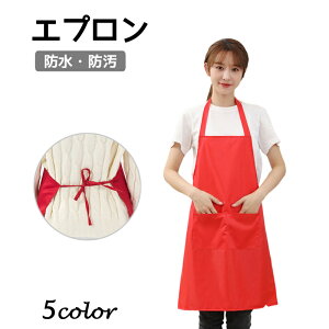 送料無料 エプロン H型 首掛け シンプル 女性用 男性用 メンズ レディース カフェエプロン 防水 防汚 無地 おしゃれ ポケット付き 汚れにくい 掃除 料理 家事 お手伝い カフェ シンプル おし