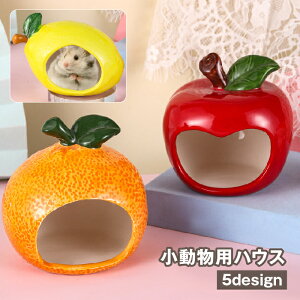  pnEX nX^[nEX ybgpi   Q B    Ђ N[ p ΍ t[c ʕ  