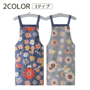  Gv fB[X ԕ t[  LoX |Pbg | | NX 킢   JtFGv Lb`  wl