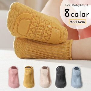  V[g\bNX N[\bNX xr[ Ԃ LbY q C  N[ V[g ~ u PF j̎q ̎q jp Vv JWA  x[Vb