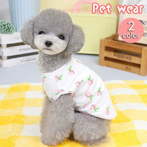  hbOEFA ybgEFA ^Ngbv Jbg\[  L ^ ybgpi m Ȃ DJ vI[o[   s[`  킢  o U Ck 