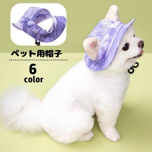  ybgpXq nbg p ڂ Rt  蕨  ΍ MǑ΍ ăoe ˕a\h ybgpi Ckp JWA Vv 