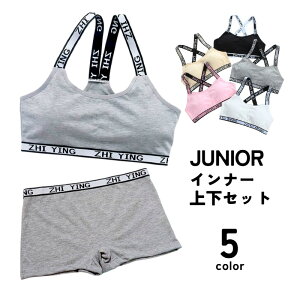  Ci[㉺Zbg WjAu X|[cu {bNXV[c uW[ mC[ LbY WjA 140 150 160 ̎q  qp  ubN  O[ zCg  X