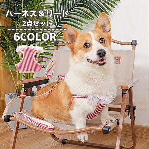  n[lX [h 2_Zbg pi ^ ^  Ck ybgpi ߉\ UObY  UR R [v XgCv t 킢 