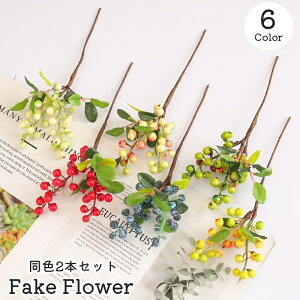   tFCNt[ F2{Zbg lHA ͂Ȃ  X X   ʎ ؂̎ u[x[ x[ CeA rO _CjO   킢 