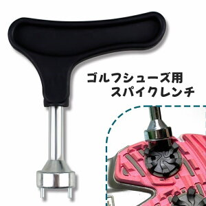  StXpCN` StV[Yp Pi ` Stpi StANZT[ e 2s H eiX Obv ₷ ֗