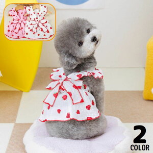  hbOEFA  s[X ybg L ̎q m hX m[X[u tA t { C`S  t 