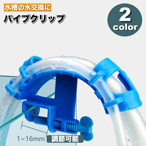  pCvNbv z[Xz_[  ANAEpi z[X pCv Œ ߉\ |   Mы