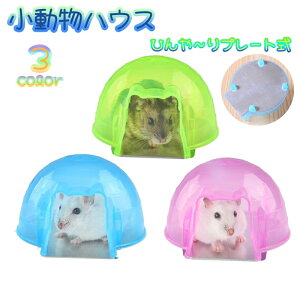  nEX ybgpi nX^[nEX  xbg Q B ΍ MǑ΍ Ђ N[ v[g NAJ[