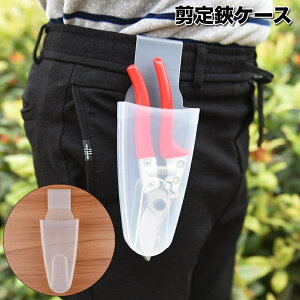  P[X ΂ nT~P[X EGXgobO K[fjO z_[ [ | K[fjO  NA y zX^[^Cv oT~