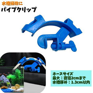  pCvNbv z[Xz_[ ANAE |pi z[XŒ    p   lW Mы