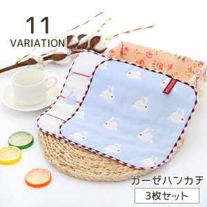  K[[nJ` 3Zbg xr[ Ԃ nJ` ^I 6w Aj} n[g  fUCLx 킢  悾