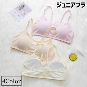  WjAu t@[Xgu X|[cu n[tgbvu WjA q ̎q w w uW[ u Ci[  mC[ pbht ʋC 킢 V