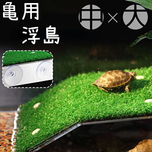   T J ybgp ঒  z lH Ő  ڂ xe ȒPݒu   CAEg fR[V