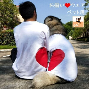  ybgp Lp m TVc  Jbg\[ n[g Ƃt@bV\ ̕ L̕ yAbN yA  킢 ^ ^ ^ ^ p 