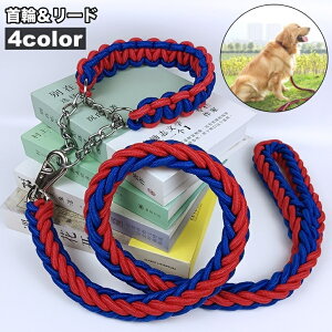 送料無料 首輪 リード 2点セット 犬用 ペット用 ハーフチョーク リーシュ チェーン 牽引綱 シンプル お散歩 お出掛け ペット用品 ペットグッズ 犬 わんこ dog