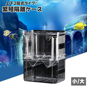  ɐBuP[X YP[X uP[X 2i 2w ɐBu{bNX p Oup {bNX upi ybgObY ybgpi ANAEpi 琬P[X z tbN Y