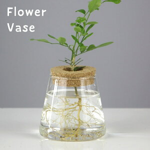  ԕr Ԃт t[x[X Ԋ  ֑} RNW  u^ KX NA XPg CeA G   Op Op ͗l  ꂢ k 