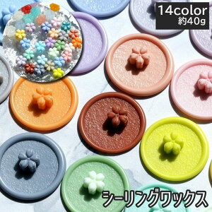  V[ObNX X 40g [ Ԍ^ t[   F u[ sN CG[ ubN u[ uE g AeB[N Jt C{[  L[