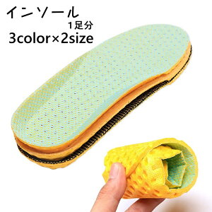  C\[ Y fB[X ~ ~ ʋC Ռz Jbg\ NbV y _炩 bV X|[c EH[LO jO