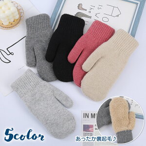   ~g O[u Ԃ N {A fB[X  h g   ۉ 킢 n Vv JWA ʊw ʋ