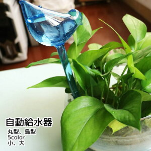   Aؔp K[fjOpi NA O[ u[   ֗ObY Vv 킢