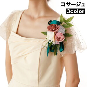  RT[W fB[X   t[ ANZT[ tH[} w  Ǝ  \ ̓  p[ ꂢ i  t@bV