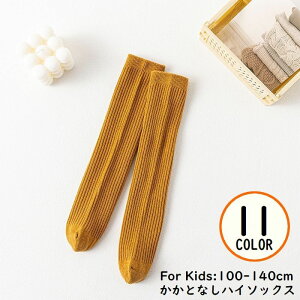  nC\bNX ƂȂ q LbY ̎q j̎q C O j[nC ʋC u n Vv JWA tďH~