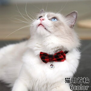   L ybg t Z[teBobN `FbN { 킢  `[J[ \ ^b` o ybgpi