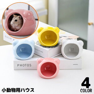  nX^[nEX p ybgpi  Z~bN   Q B L  Ђ Ă̏΍