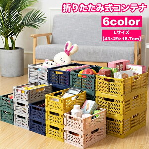  Rei ܂肽ݎ Rei{bNX [{bNX [P[X [JS Xg[W{bNX  ܂ RpNg X^bLO   Еt  킢