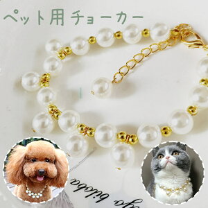  ybgp`[J[ lbNX  L Ck lR ANZT[  tFCNp[ `F[ i GKg  킢  ybgObY ybgpi