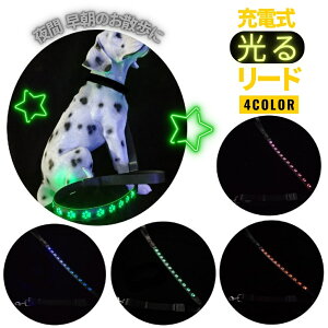 送料無料 リード 単品 犬用 猫用 ペット用 LEDライト 充電式 光る Dカン リチウム 散歩紐 シンプル カジュアル お洒落 かわいい 可愛い 犬 猫 ペット用品 ペットグッズ 散歩 お出かけ 外出 夜間