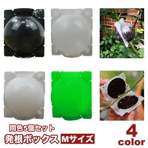  {bNX 5Zbg ؃{[ A ɐB  u ȒPt K[fjO |pi  }