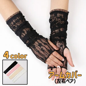  A[Jo[ fB[X wȂ EyA  rJo[ O [X    Ăh~ UV΍ ^] ]  킢 i 